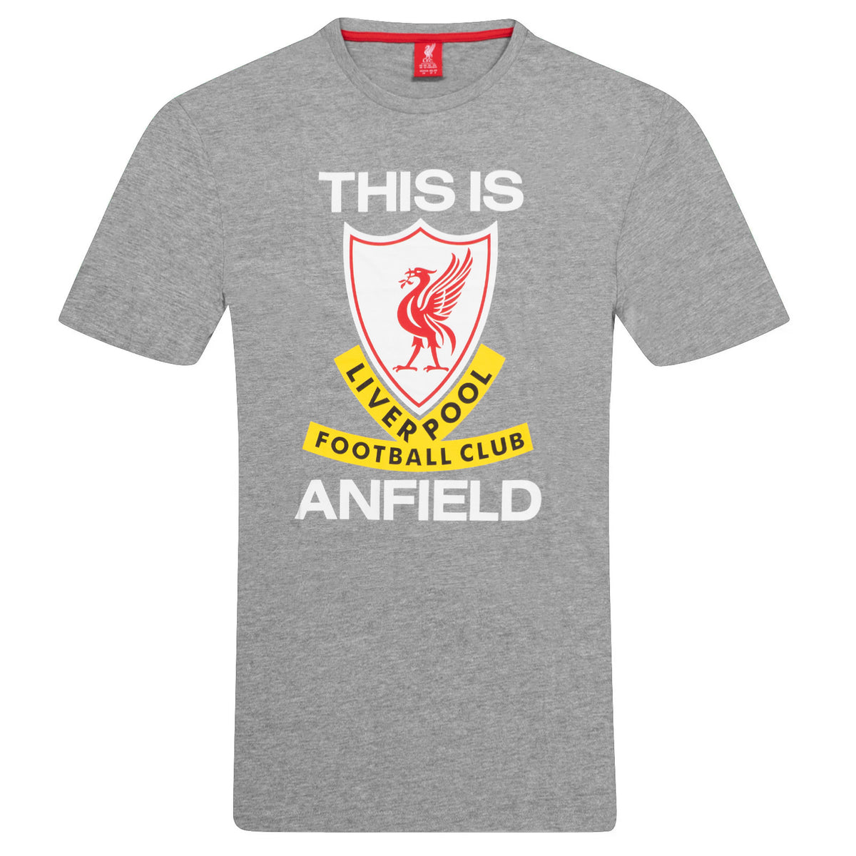 Grey Anfield